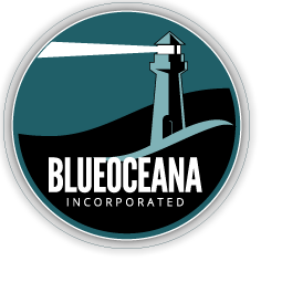 THE BLUEOCEANA COMPANY, INC.